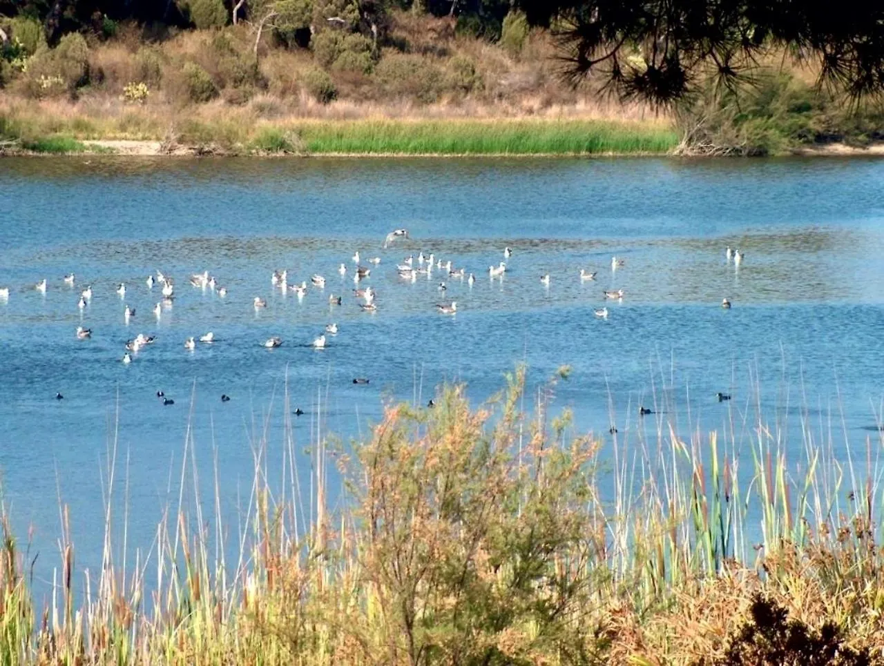 Paqo Lodge Laguna Del Portil, A 400 Metros De La Playa 0*,