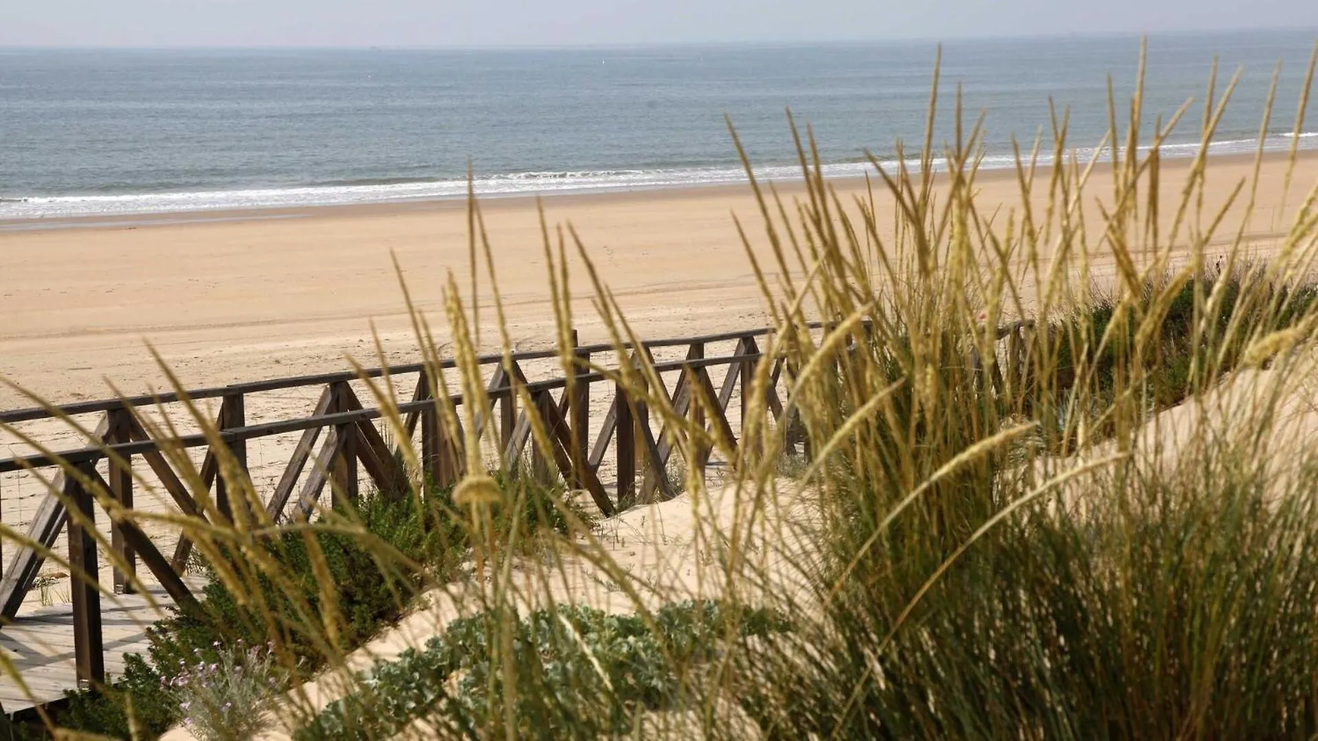 Paqo Lodge Laguna Del Portil, A 400 Metros De La Playa Spain